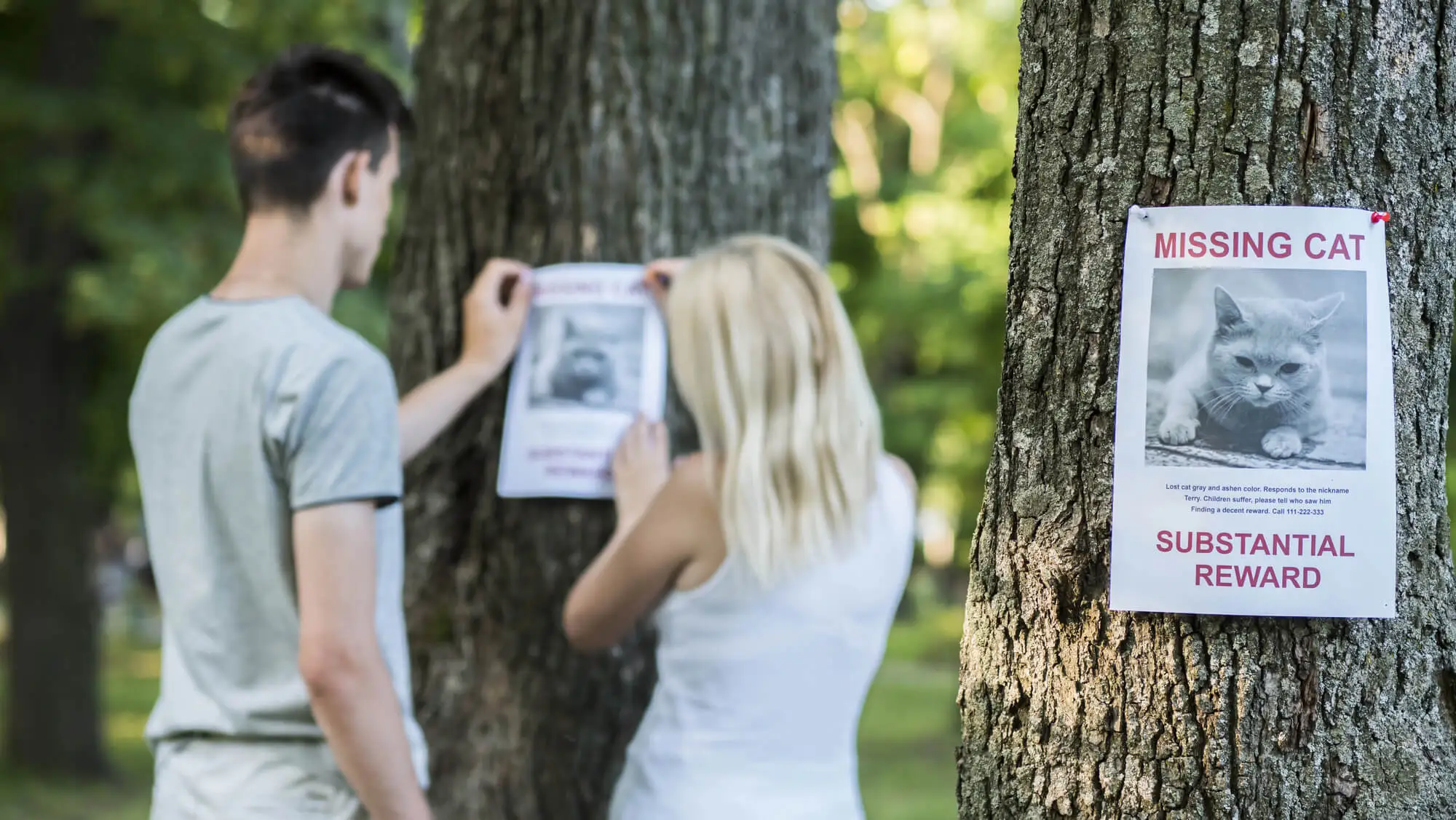 Couple Looking for Their Lost-Cat-After-a-Relocation-with-Movers-in-Kansas-City-MO