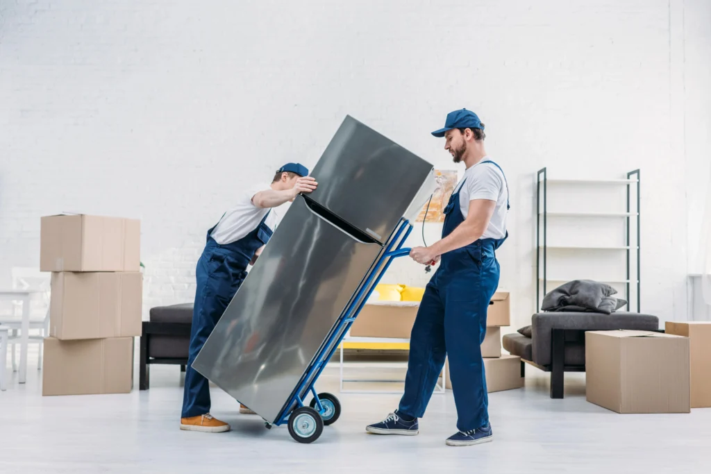 Expertise by movers grand rapids michigan