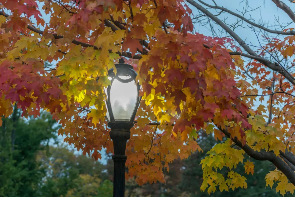 Lawrenceburg Moving Companies Explain Challenges of Moving in Autumn