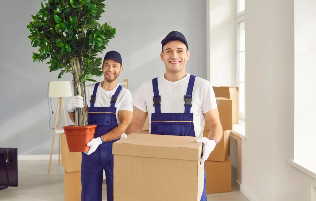 everyday movers