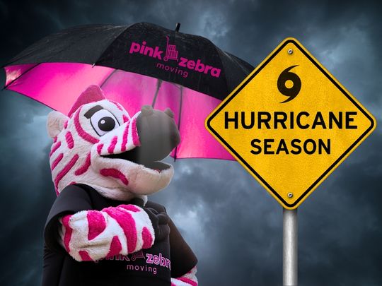 A pink zebra mascot stands under a "Pink Zebra Moving" umbrella against a dark, stormy sky, beside a
yellow road sign that reads "Hurricane Season.