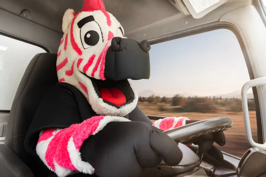 pink-zebra-moving-mascot-driving-truck